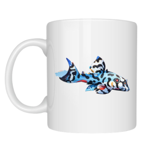 plecoGlass