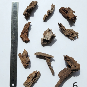 Mangrow Kök - Moss Sarım Uygun - 6